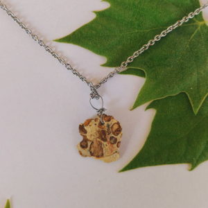 Dije Leopardita o Jaspe Leopardo