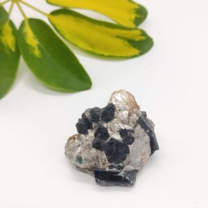 Cuarzo Ahumado + Mica + Turmalina Negra